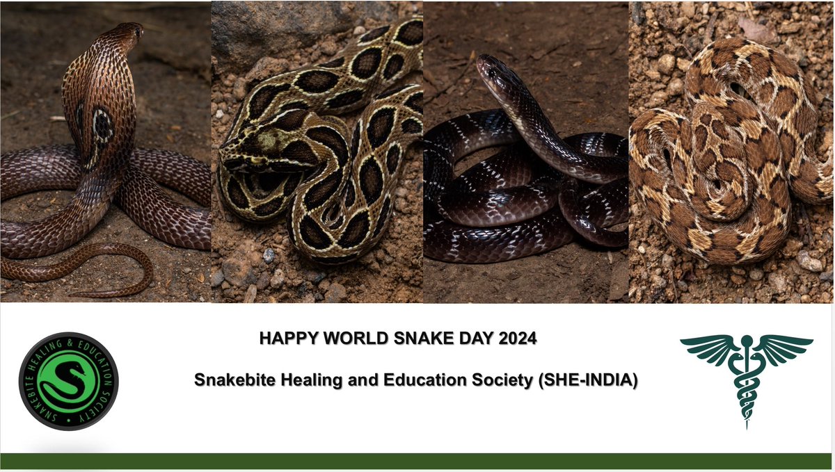 @SHE-INDIA tweet media