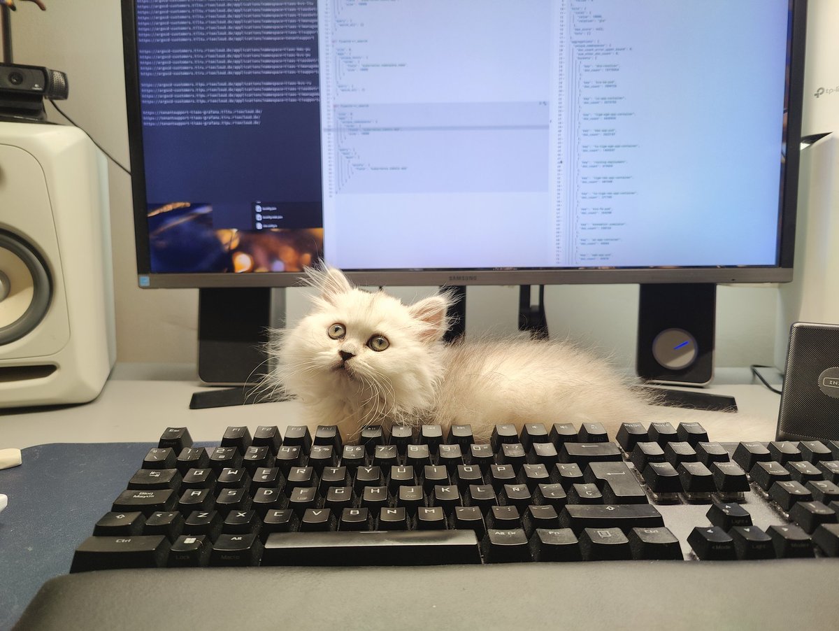 Meet our new family member! 😍