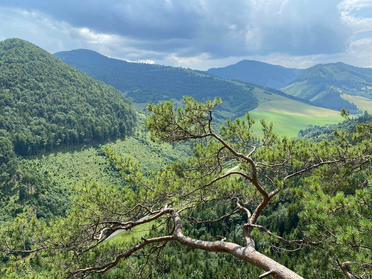 Editor Igor tweet media