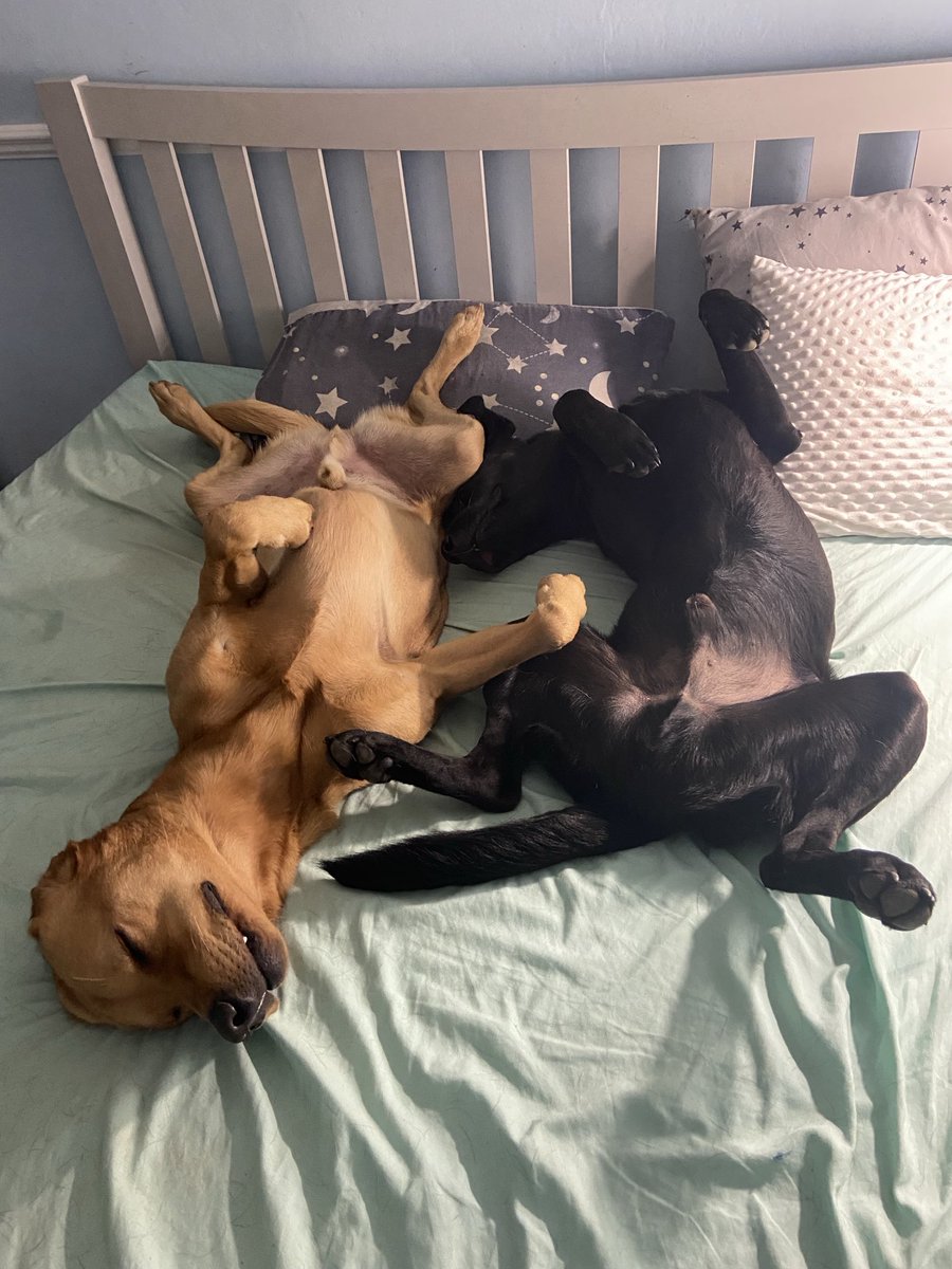 Isake4's tweet image. Dddddddddddxç