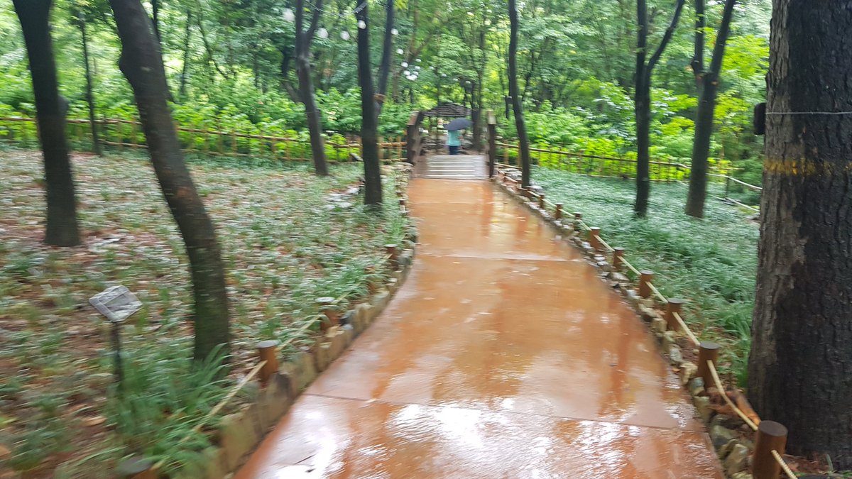 #월아산정원 
#봄가을 
#산책코스추천