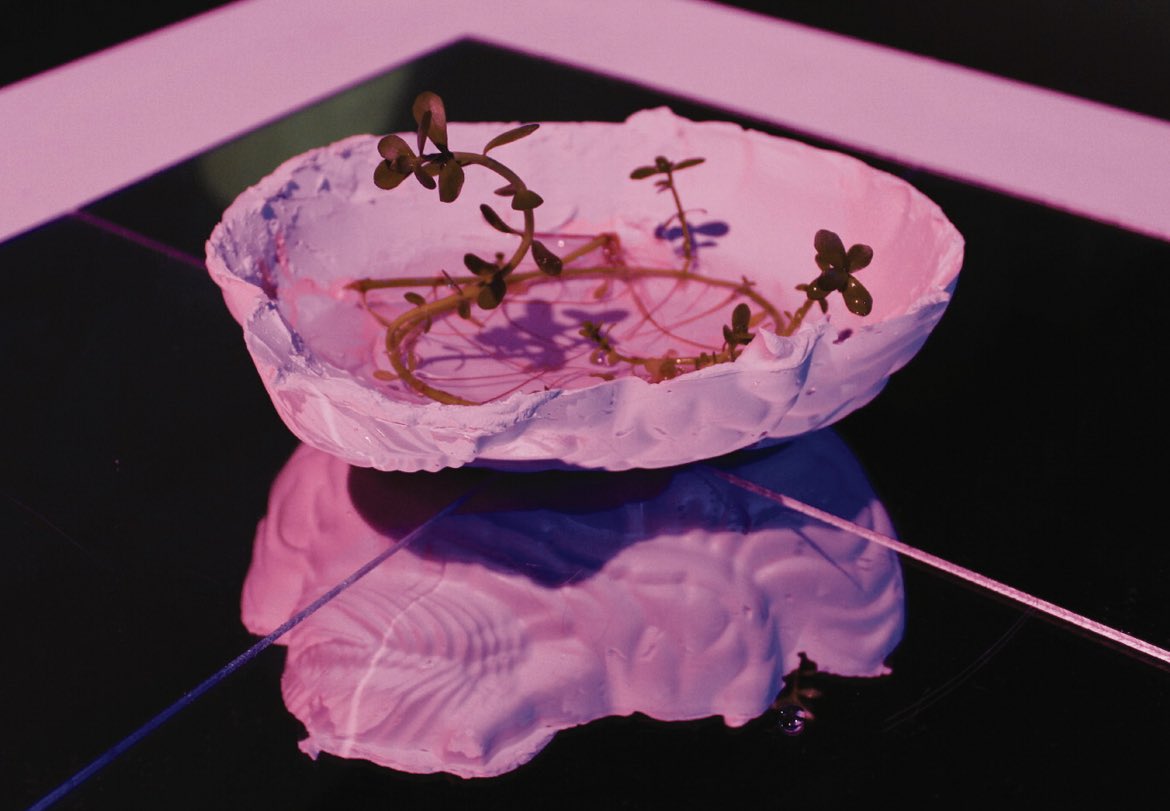 Interested in art-science collaborations and want to undertake practice-led or practice-based research at Master’s level? We have places available on our MA Art in Science programme for Sept ‘24 entry. Find out more &amp; apply:

ljmu.ac.uk/study/courses/…

#sciart #artscience #postgrad