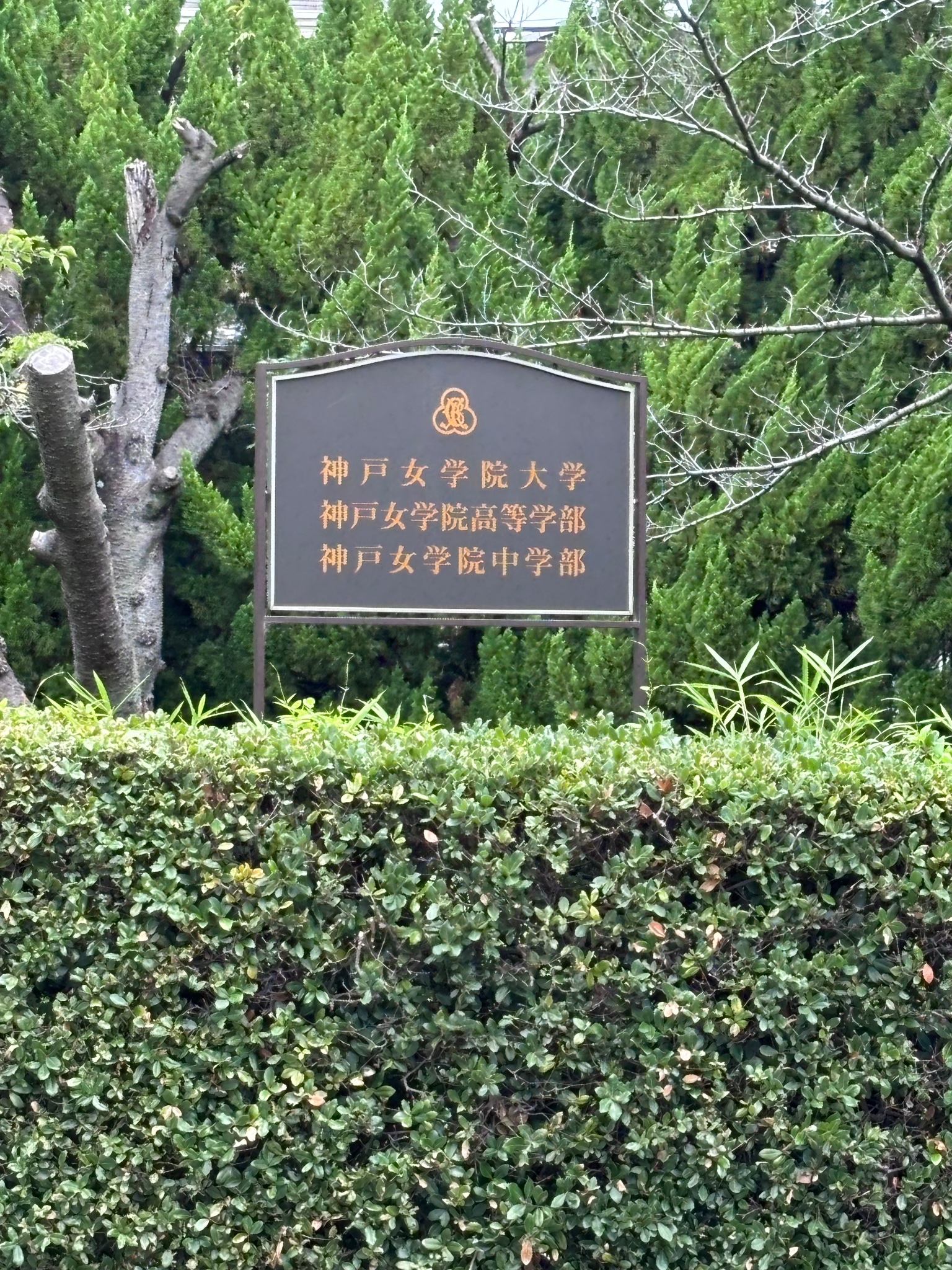 甲陽学院高等学校―限定版 平成15年度用 甲陽学院高等学校―限定版 平成15年度用