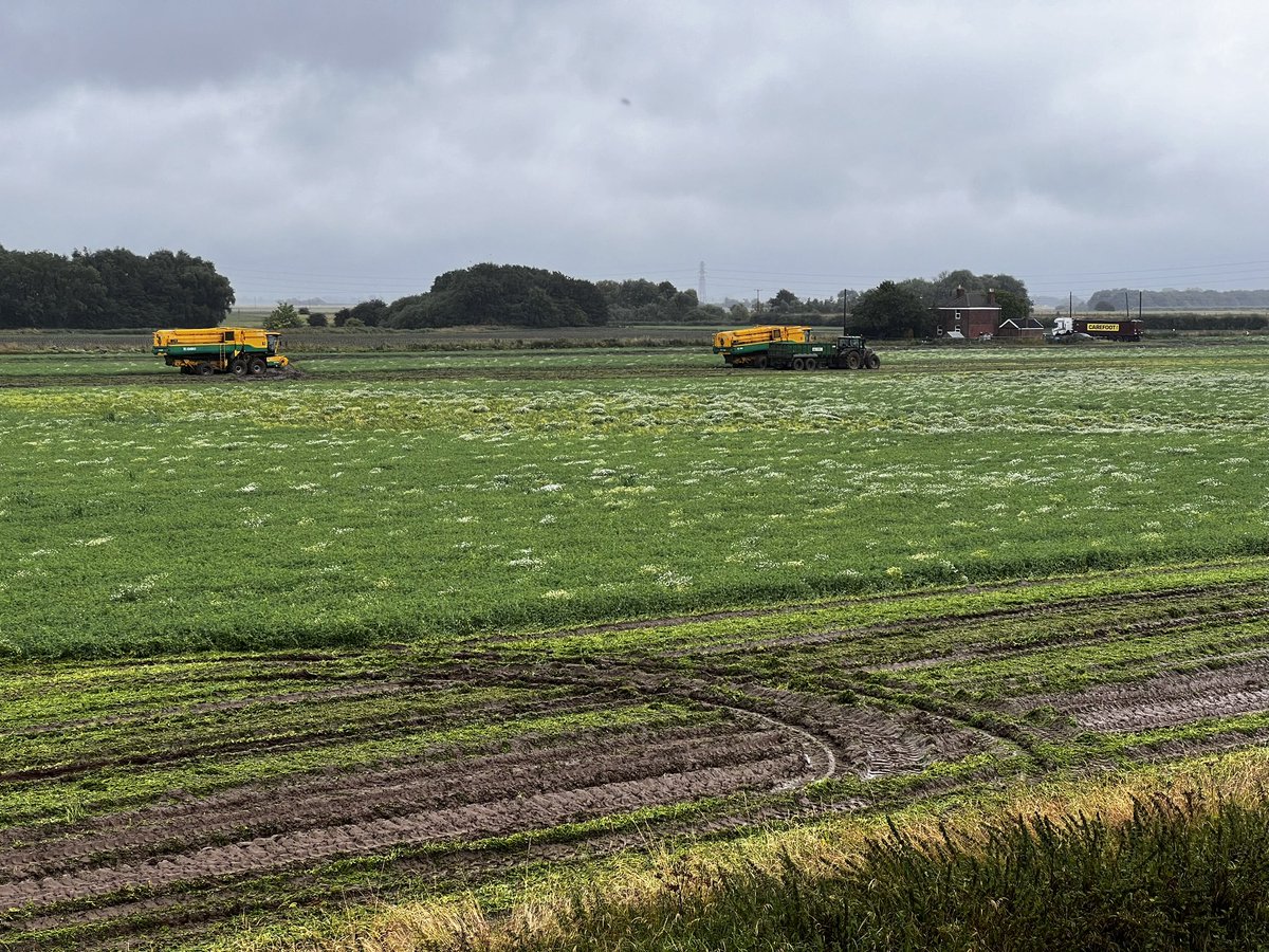 Matt Tunnard tweet media