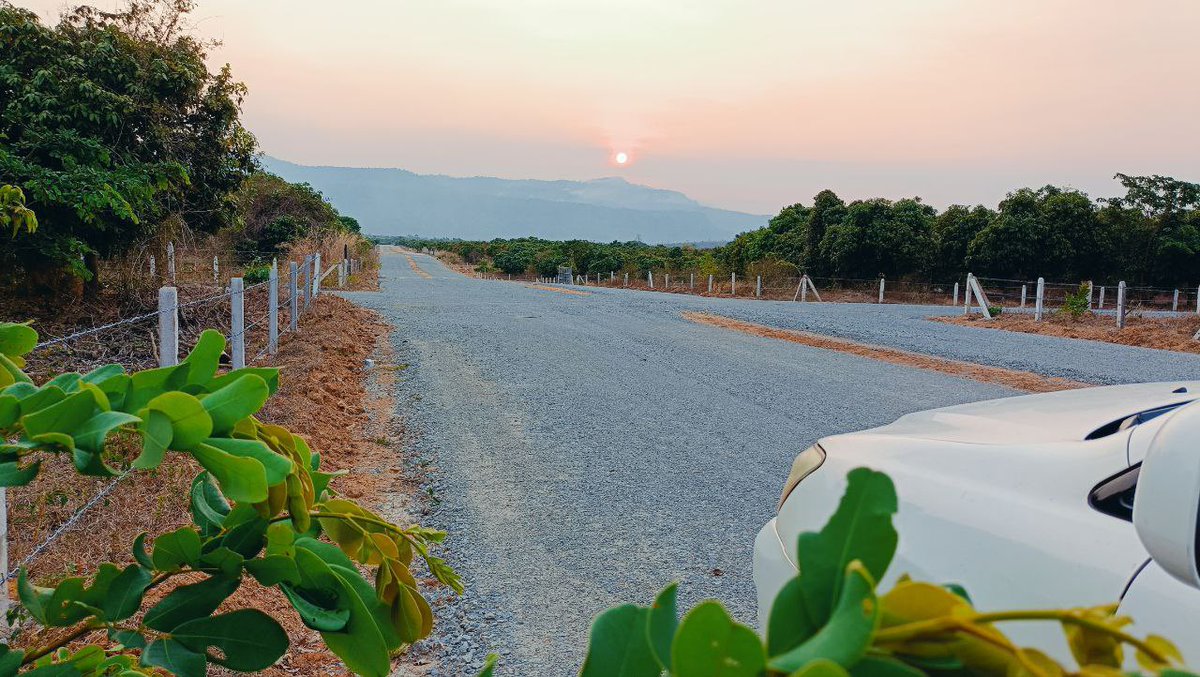 VisethTHA2's tweet image. ១ខែ 50$-$100 បង់រំលស់ ៥ឆ្នាំ គ្មានការប្រាក់ បានដីលំហែជើងភ្នំ គីរីរម្យ ក្បាល 15x30m, 15x40m មានរបង មានដំណាំ ចំនេញតកូន ចាប់អារម្មណ៍ឆាតមកខ្ញុំផ្ទាល់_🥰🥰.