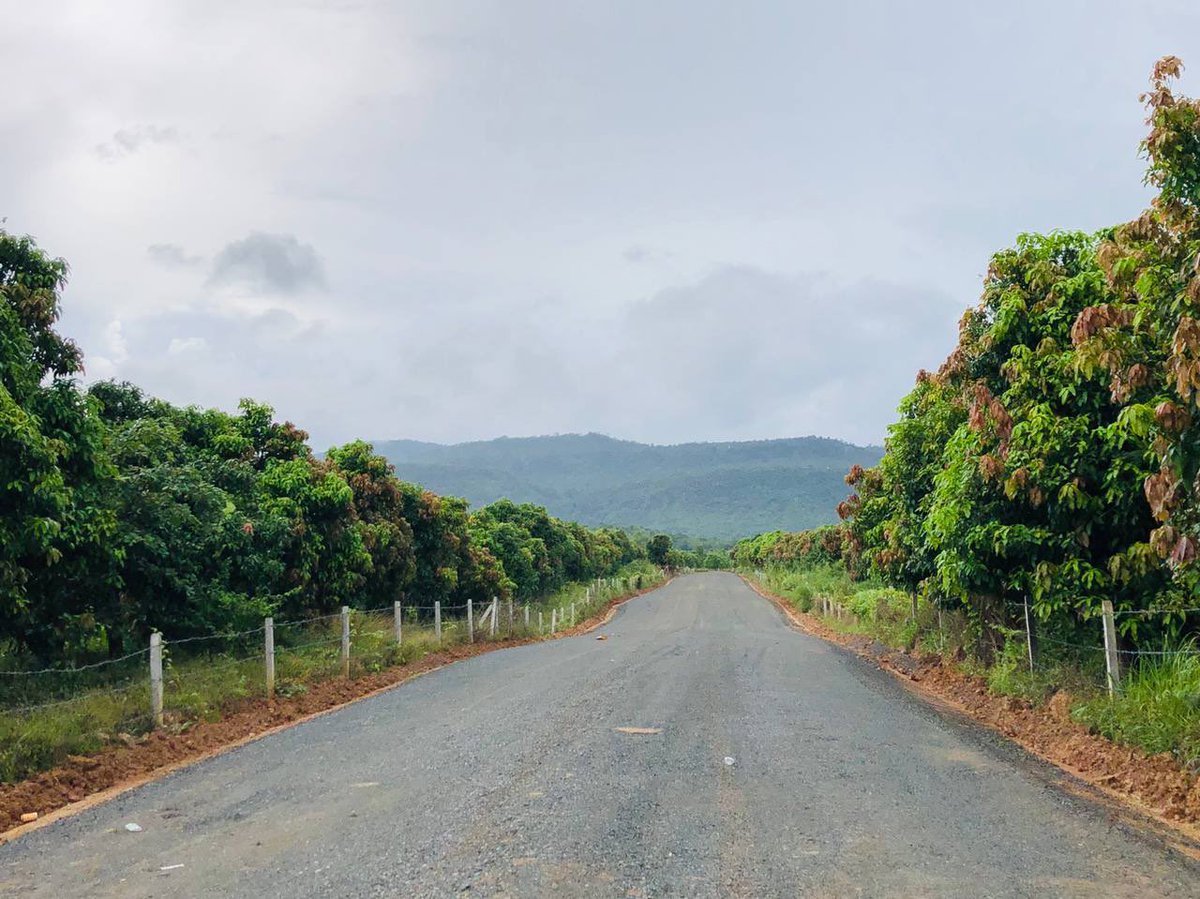 VisethTHA2's tweet image. ១ខែ 50$-$100 បង់រំលស់ ៥ឆ្នាំ គ្មានការប្រាក់ បានដីលំហែជើងភ្នំ គីរីរម្យ ក្បាល 15x30m, 15x40m មានរបង មានដំណាំ ចំនេញតកូន ចាប់អារម្មណ៍ឆាតមកខ្ញុំផ្ទាល់_🥰🥰.