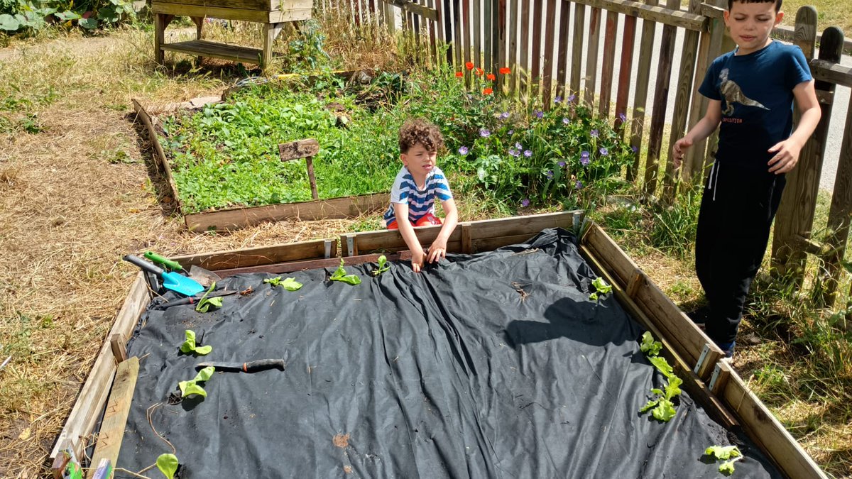Nous sommes allé a 2 au jardin : Reza et Maya . 15 enfants sont passé nous voir . Nous avons commencé par faire un gros arrosage avec les enfants . Avec quartes enfants nous avons repiqué des salades. Maya et quelques enfants ont cueillit des herbes pour faire des infusions.