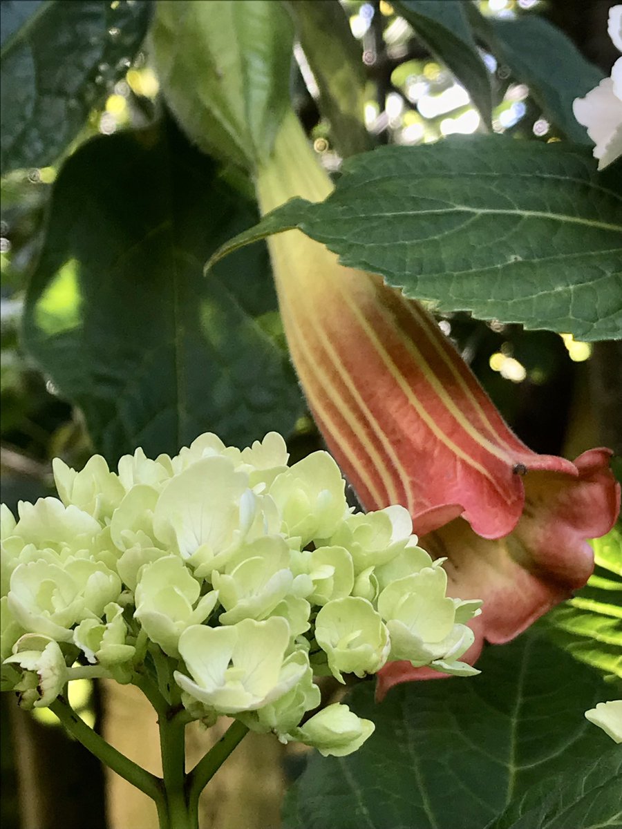 A moment from our garden