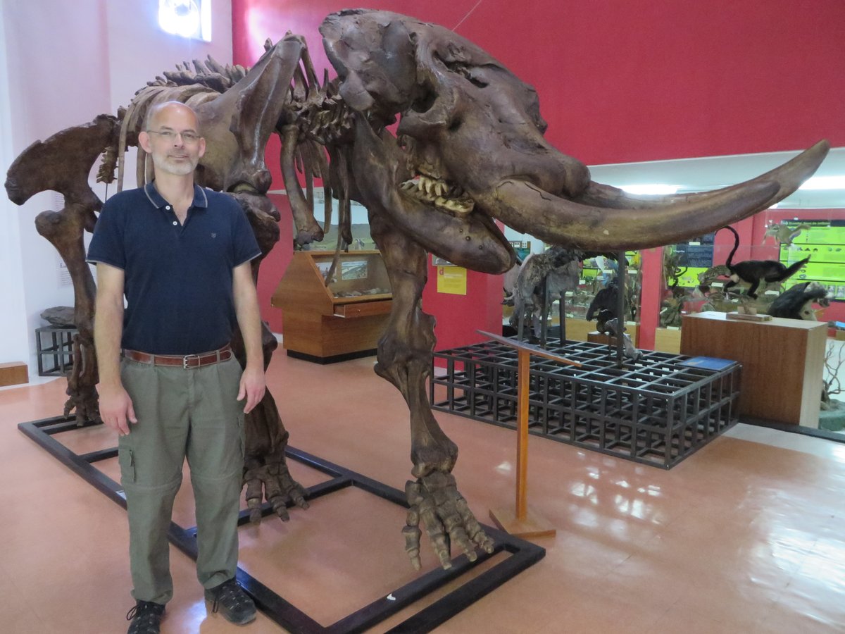 EconovoAU's tweet photo. 🐘Humans, not climate, led to the extinction of large mammals🐘
🌍 In a study, @JCSvenning and his team from @AarhusUni_int synthesize rich evidence that prehistoric humans drove the disappearance of large mammals.
See details in the comment section.
#Megafauna #HumanImpacts https://t.co/55SkWu2fAk