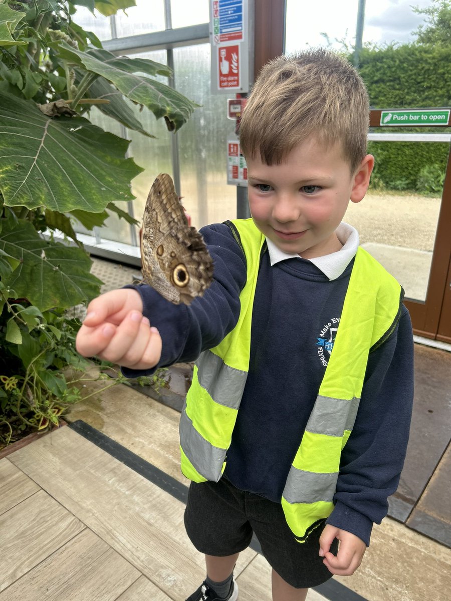 Early Years🌿 Hucknall Flying High✈️ tweet media