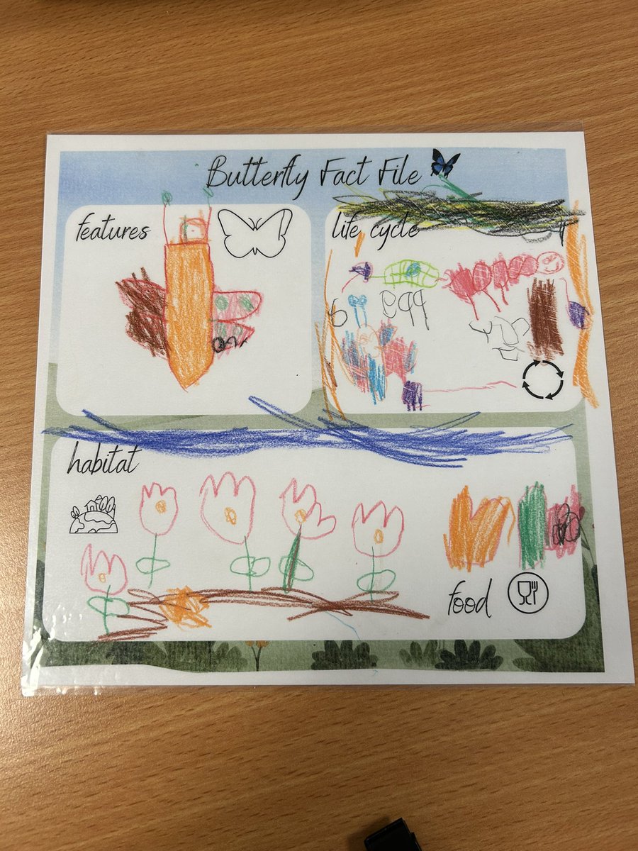 Early Years🌿 Hucknall Flying High✈️ tweet media