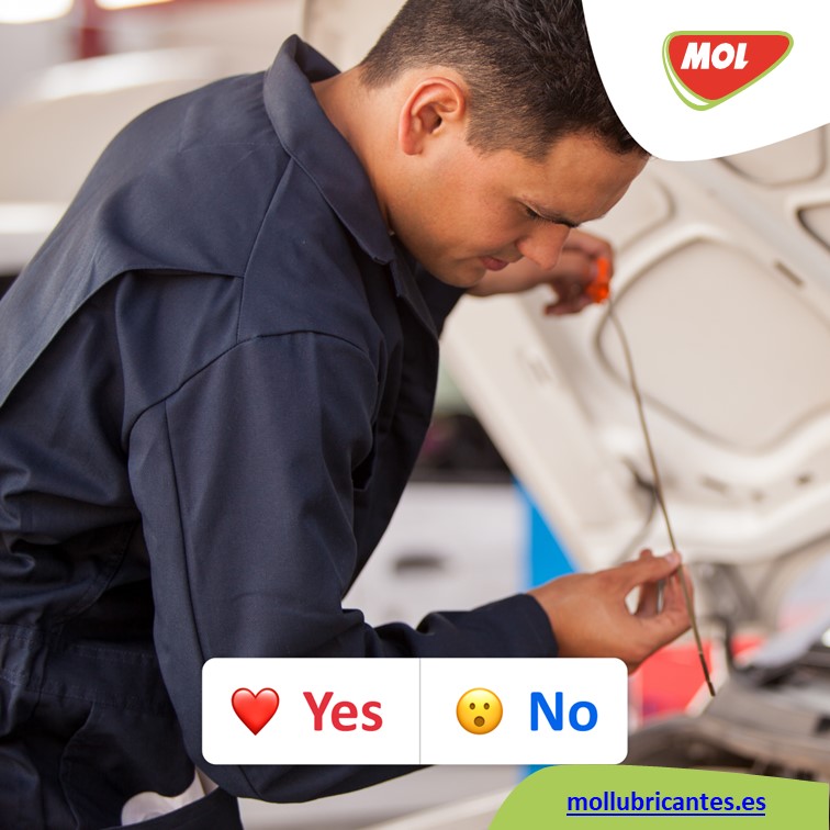 mollubricantsib's tweet image. 🇪🇸
Comprueba regularmente el nivel de aceite de su coche?
🩷- Si
😯- No

🇵🇹
Verifica regularmente o nível de óleo do seu automóvel?
🩷- Sim
😯- Não

mollubricantes.es/es/lubricantes…

#mollubricantsiberia #mol #premiumoils #motoroil #lubricantes #lubrificantes #lubcheck
