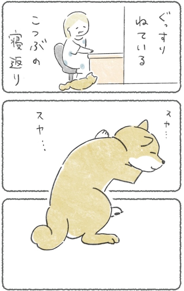 犬の寝がえり 
