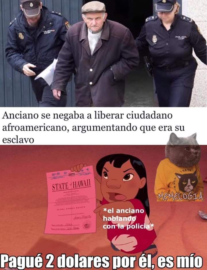 ErigolDelViento's tweet image. 