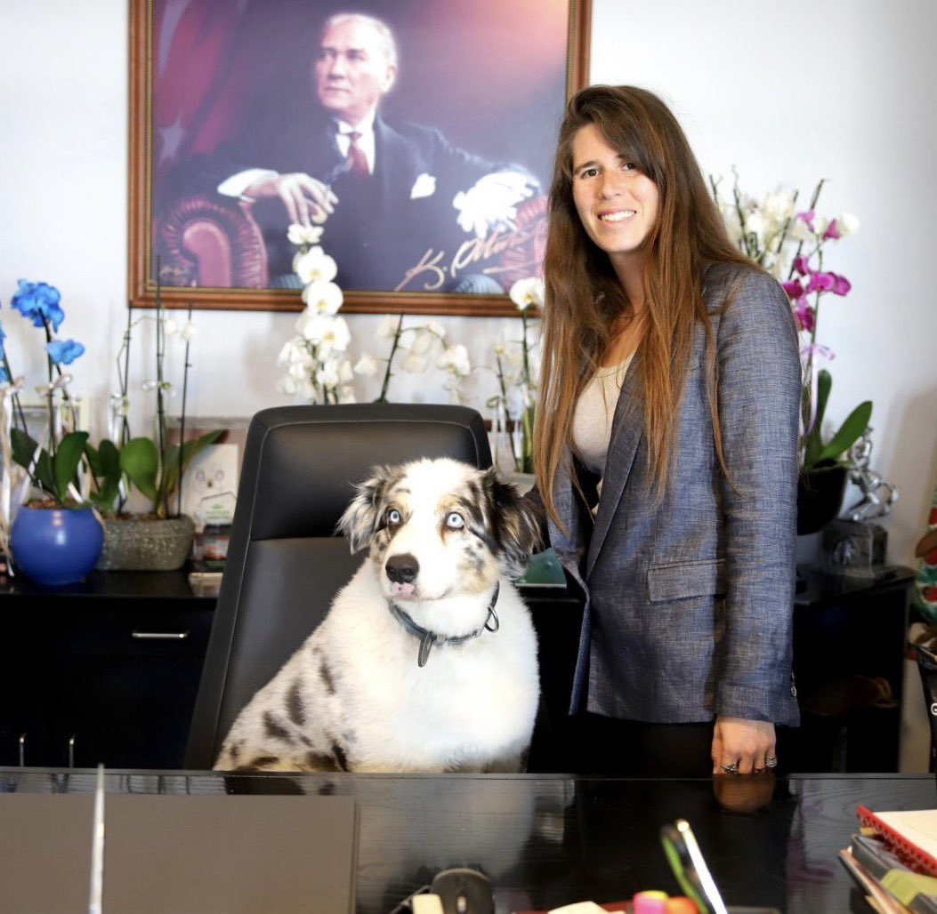 - Çeşme'de iş adamına başıboş köpekler saldırıp hastanelik etmiş. 
- O esnada çeşme belediye başkanı <a href="/laldenizlicesme/">Lâl Denizli</a> #yasayaevet