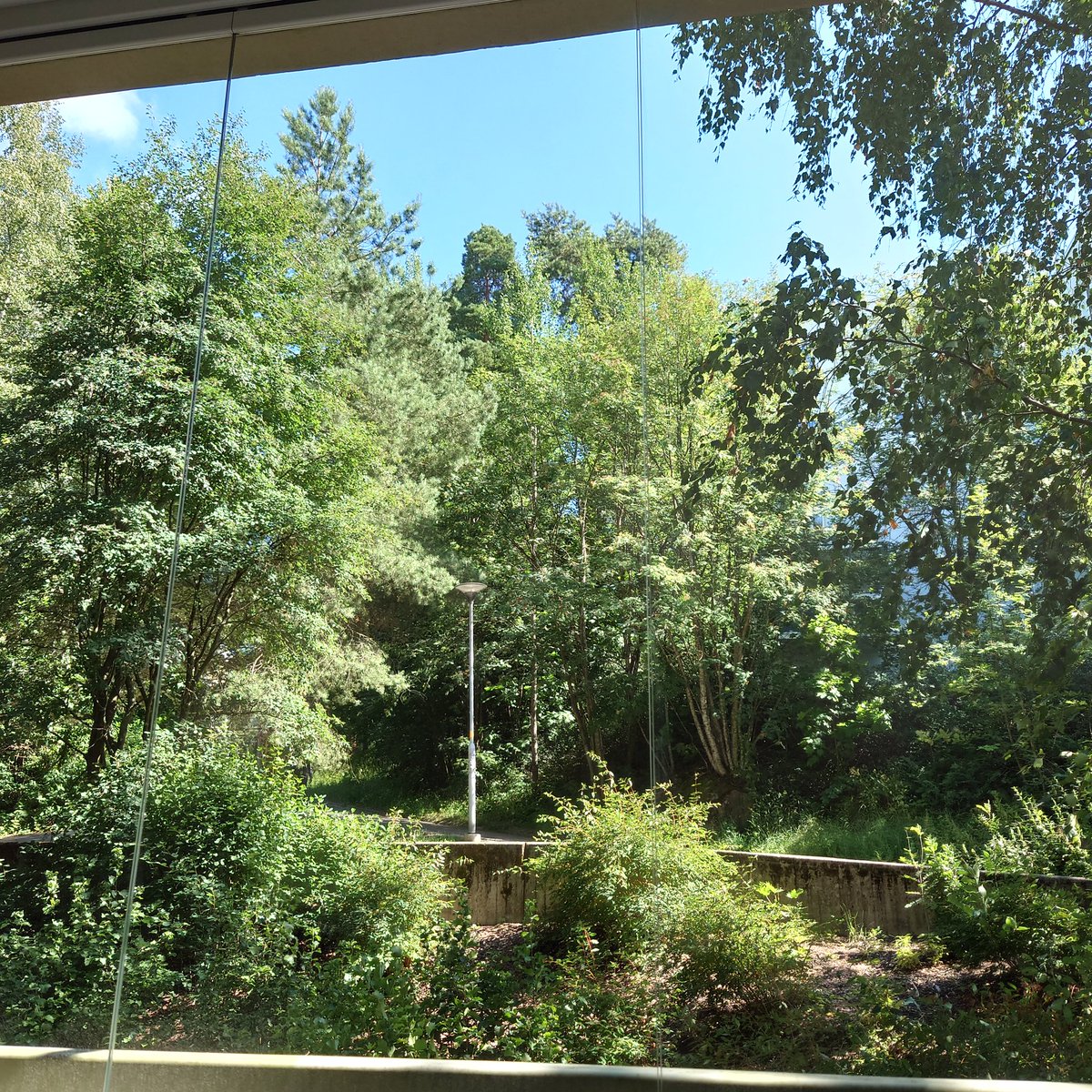 Staying at my friend's place and she has the prettiest balcony.. Ahh.. Didn't bother traveling home in between Nekocon and Ropecon so nice to have a lil break here!