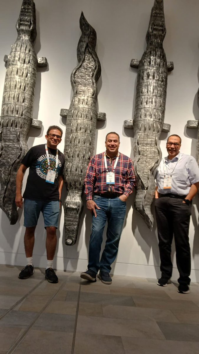 GuelPHage_lab's tweet photo. Pharaohs in Phages! Usual Annual gathering photo with my 🇪🇬PHriends @AymanElShibiny &amp; @azizrk during phage meeting and VoMs @VoM_2024 https://t.co/pbvw879uYI
