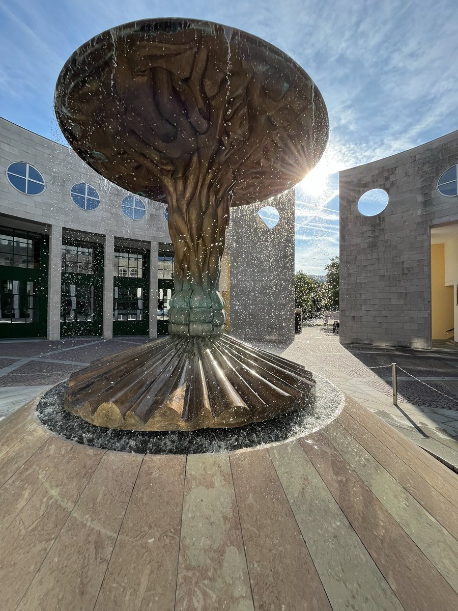 jeroen_eb's tweet photo. The ISBS 2024 conference is on its way @isbs_conference https://t.co/TLb9UoLhGd