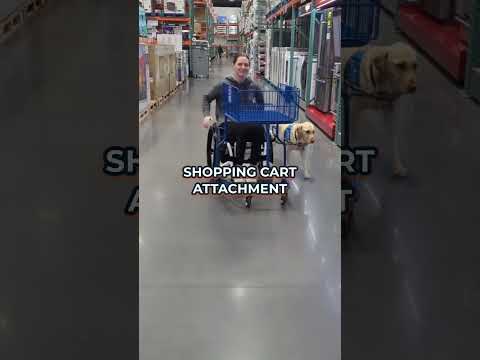 SPINALpedia's tweet image. People who use wheelchairs are delighted over Costco&apos;s forward-thinking accessible shopping carts #universaldesign #costco #wheelchairlife spinalpedia.com/community/vide…