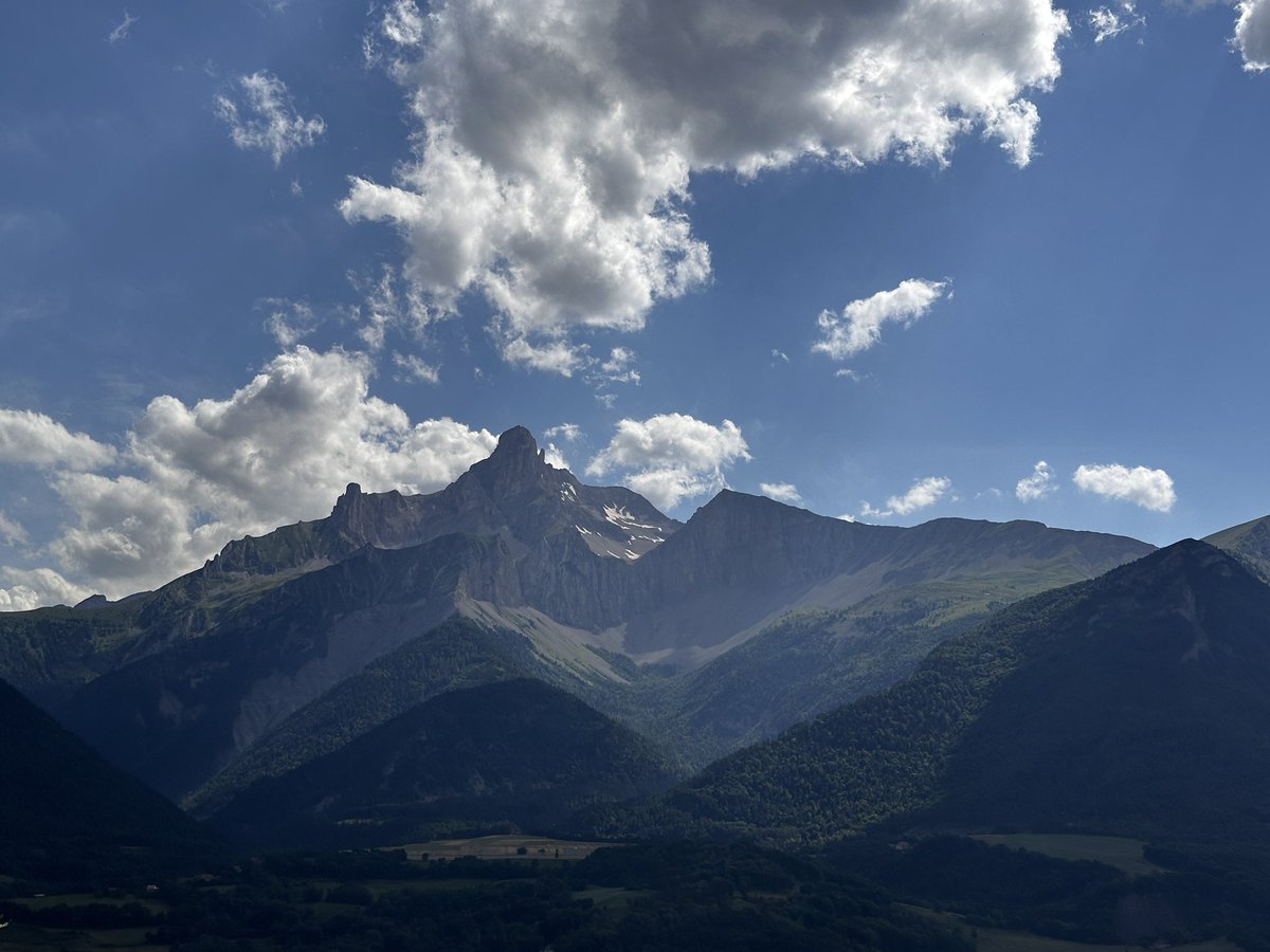 Christopher Davies tweet media