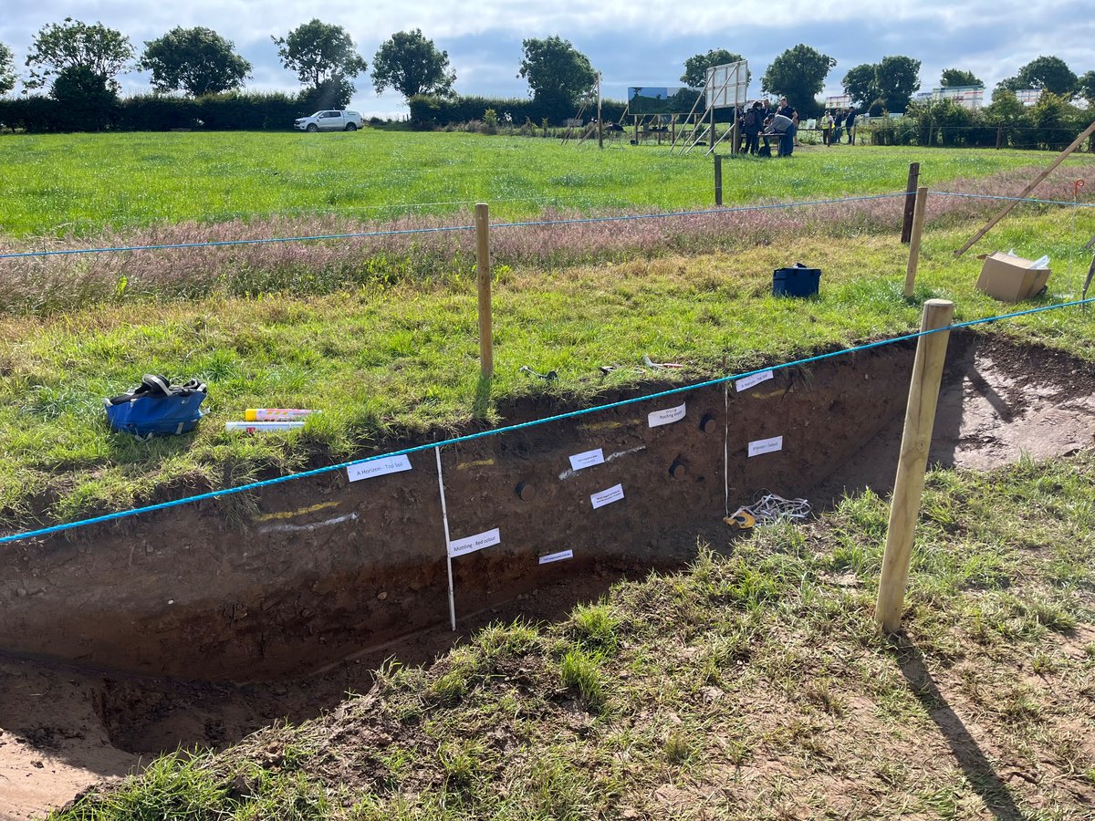 Dr. Patrick Forrestal tweet media