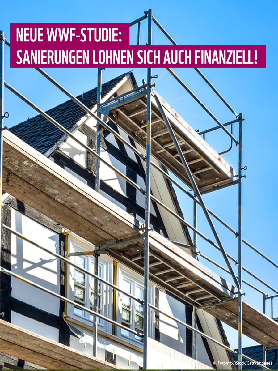 WWF Deutschland tweet media