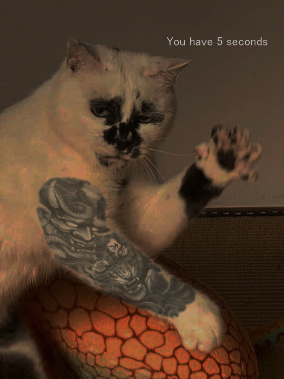 Fightingcat69's tweet photo. Dont piss me off 🔥

#FCATS #cat #fightingcat #taiwan #china #holy #skip #sleepyDon 
BUY FCATS AT  Jupiter/Raydium!! Ca:Dhnz1iqnL7trftejaYZTXxsDxNxkwfZHpzj8ceEv8zTb
Website: https://t.co/QRGH3gVoRs
Tg:https://t.co/YHIELz0eeY https://t.co/8tEVf2ArkK