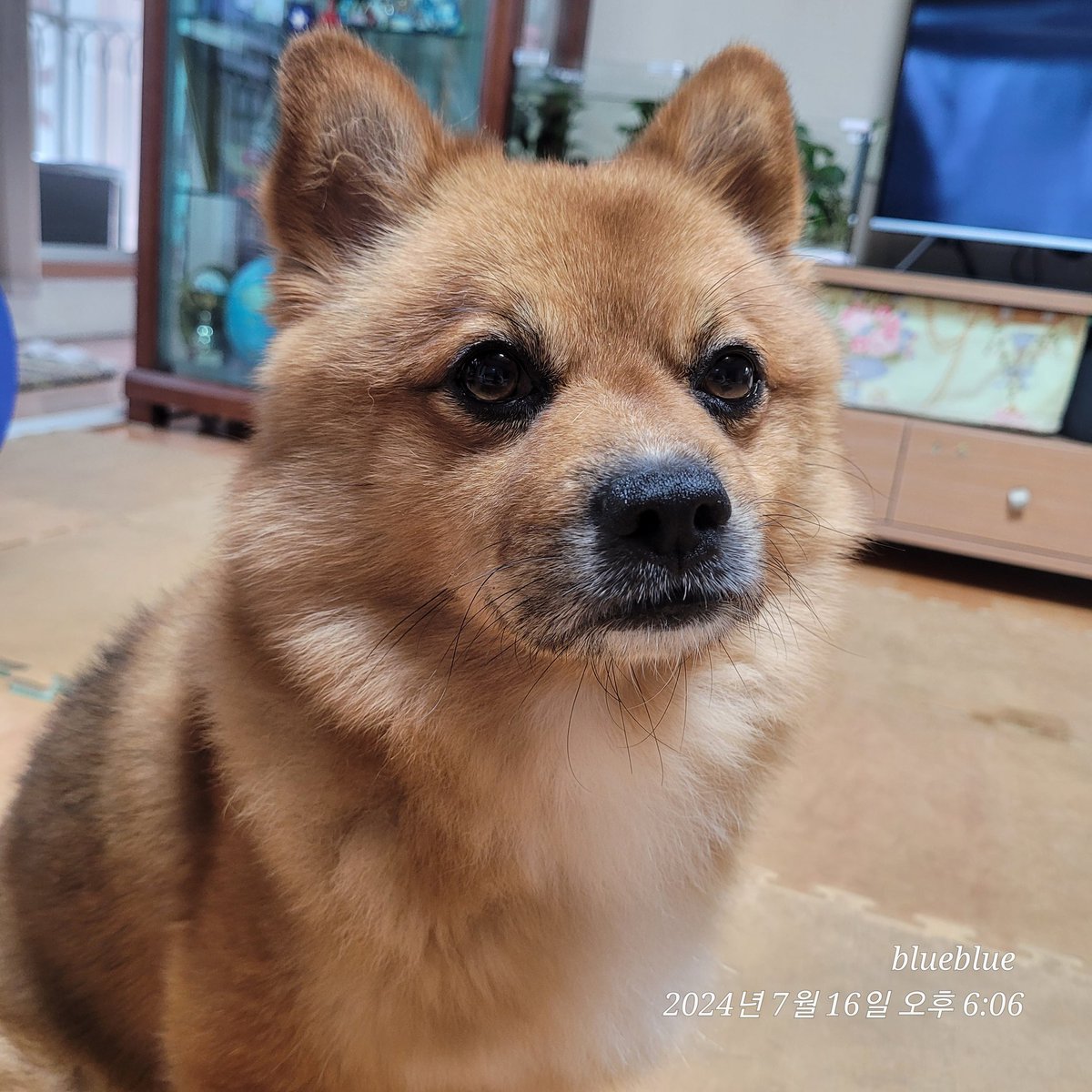 🩵blueblue💙 tweet media