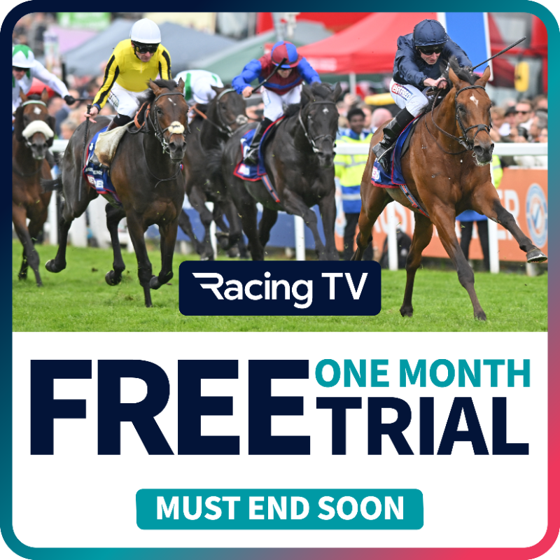 RacingTV's tweet photo. Grab your FREE Racing TV 31-day Trial and gain access to live racing from 61 of the best racecourses across UK and Ireland 🏇🏼