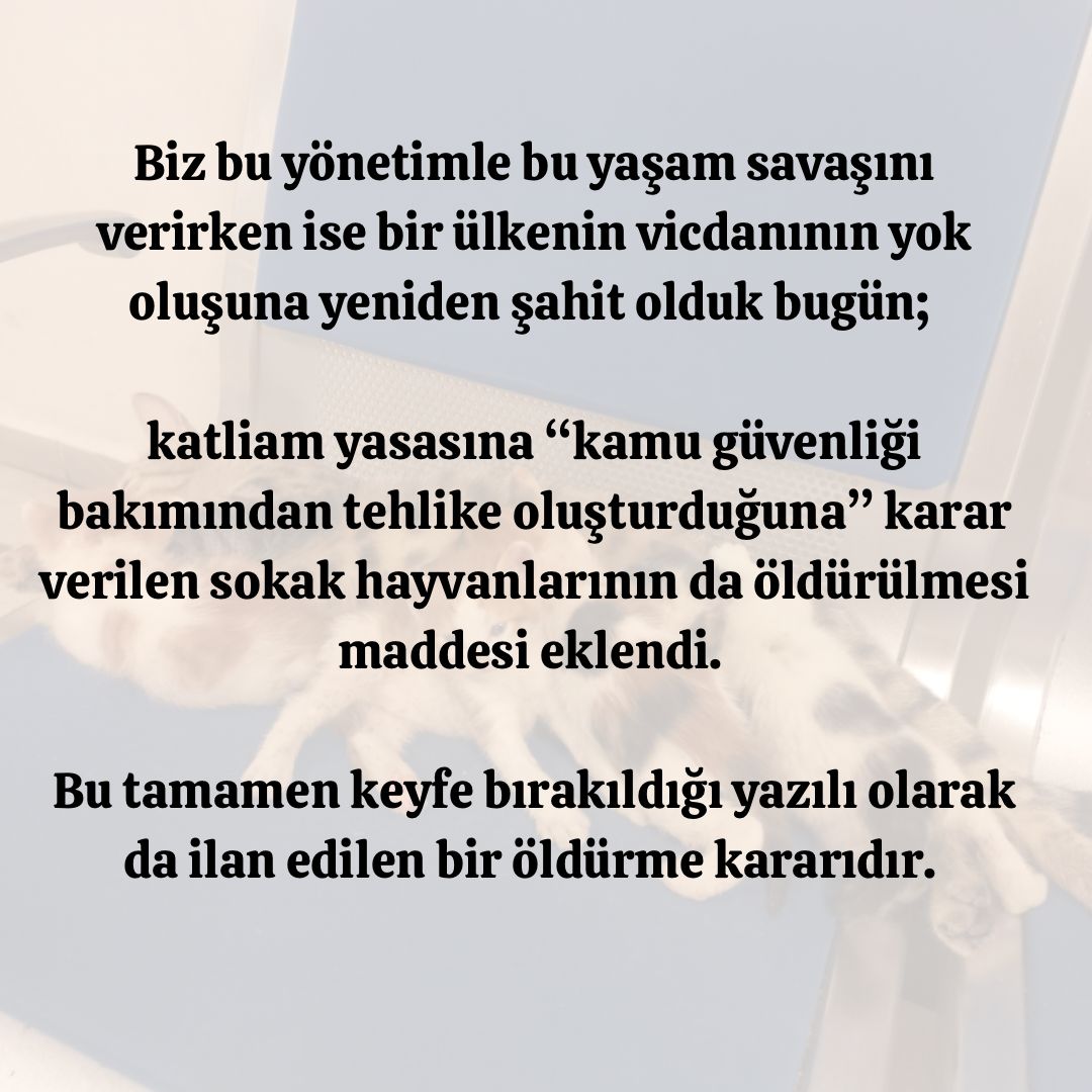 busiklet's tweet photo. Başta her yıl on milyonlarca sokak hayvanının ölümüne sebep olan motorlu taşıtlar ve fosil yakıt sermayesine ek olarak bundan böyle kanun koyuculara karşı da sokak hayvanlarının yaşam hakkını savunmak için mücadeleye devam edeceğiz. https://t.co/R1GX624E4k