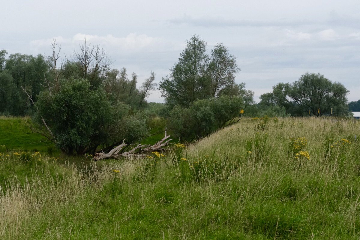 FREE Nature tweet media