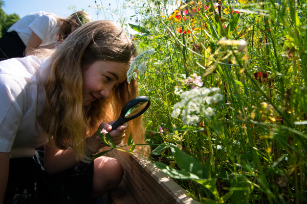 🚨Last chance to apply for Superbloom Schools 2024-25!  We are looking for 25 partner schools from across all four UK nations to join us for our Superbloom Schools programme. Apply now!  For more info and to apply visit ➡️hrp.org.uk/schools/superb…