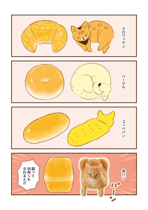 「しまねこパン屋さん」

猫ちゃん、あまりにもパンに似ている🥐🥖🍞 