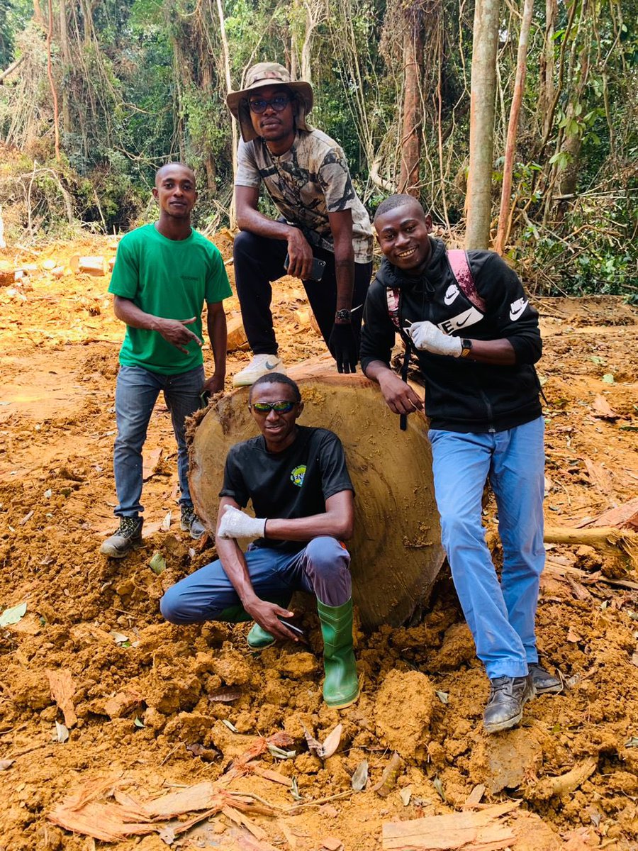 Exciting Milestones by Our Interns! 

We welcomed our #interns to our #Libreville offices after their internships in #Mouila.

Christopher: GIS for village mapping.
Serge: Reforestation &amp; sustainability.
Jesse: Forest certification evaluation.
Gareb: Product traceability.