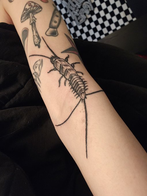 btw silverfish tattoo 🥰 https://t.co/39UClFG2af<a href="/tag/myxanniversary"class="tags"><span>#myxanniversary</span></a>