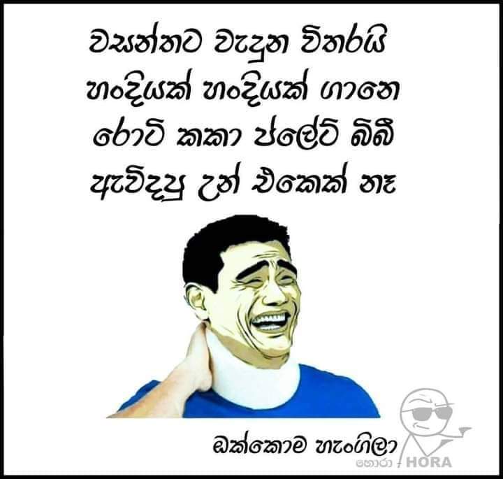 ඇත්තටම කෝ අර හන්දියක් හන්දියක් ගානේ රොටි ප්ලේන්ටි සප්පායම් වෙවී ඇවිද්ද කොම්බු හාදයා 🧐