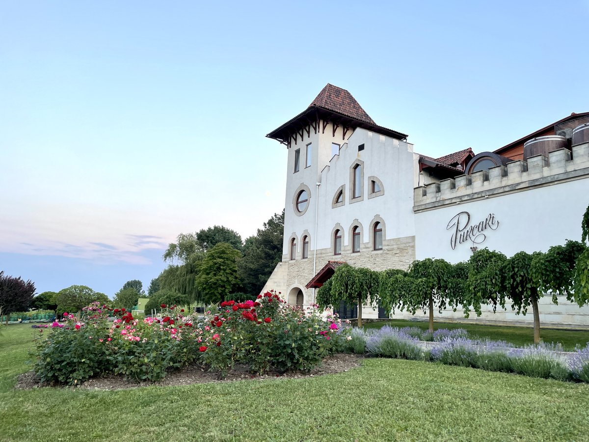 Uncornered Market - Dan & Audrey tweet media