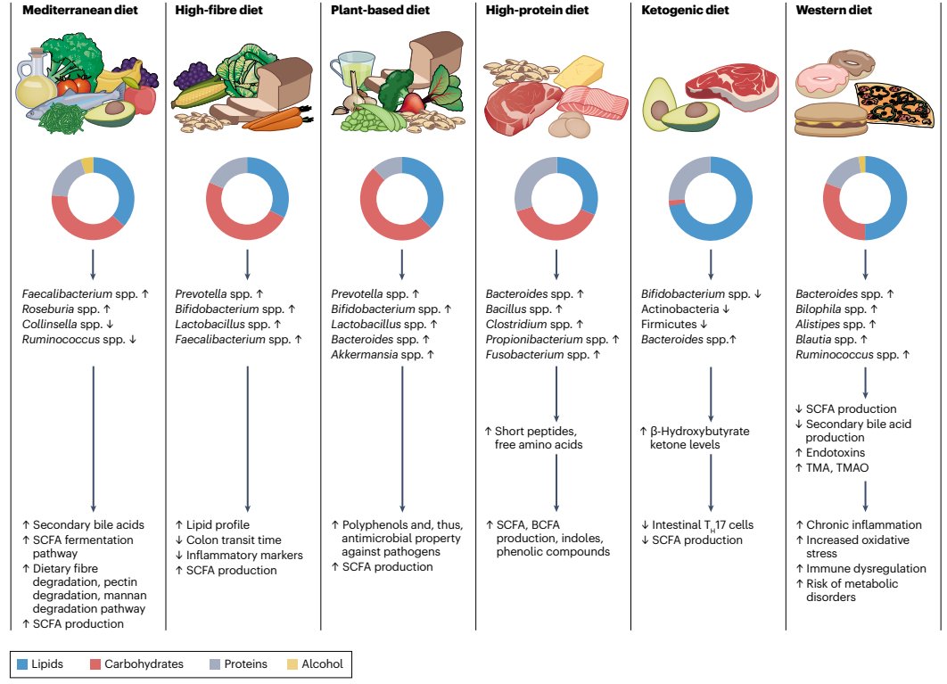 The interplay between diet and the gut microbiome: implications for health and disease

rdcu.be/dNWyv

Stanton &amp; co. examine the effects of different whole diets on the gut microbiome and explore how they influence human health and the progression of chronic diseases.