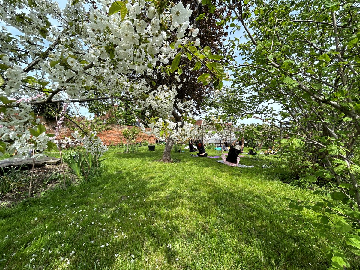 RainhamHallNT's tweet photo. Yoga in the garden this Saturday at 10.15am. Limited spaces available, book online to secure yours:
https://t.co/r0lk8rwWIA
45 minutes of gentle yoga in our beautiful garden, before we open to the public. £4 per person.
#yoga #nature #rainhamhall https://t.co/cqN0WXkCeb