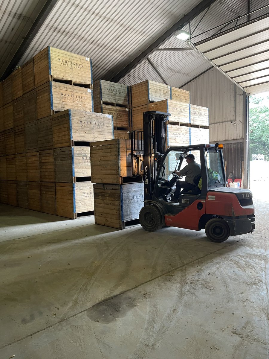 Onions are a go! Some nice #jagro going into store today #suffolk