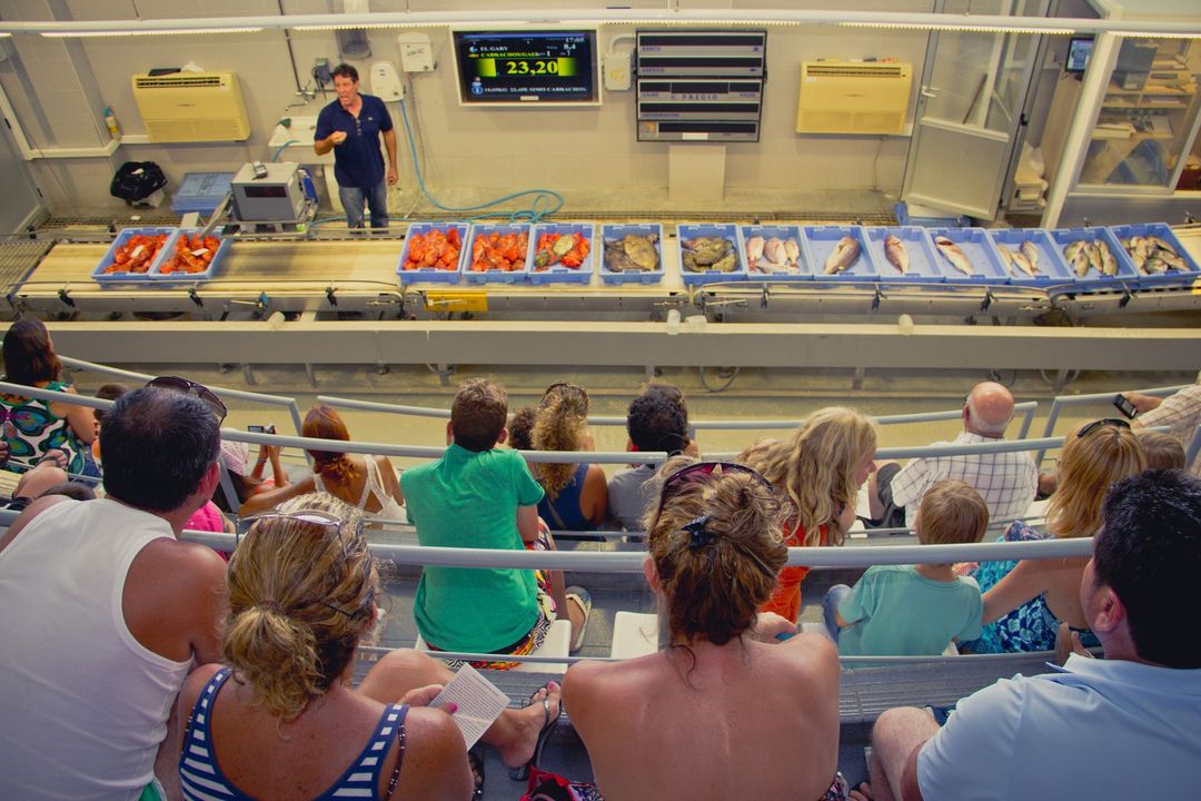 Turisme_Vinaros's tweet photo. 🇪🇦⚓ Los jueves 18 y 25 de julio te invitamos a disfrutar de la experiencia gastronómica: "Vinaròs, pueblo de pescadores". 

🎟️🍸🦐 Precio adultos: 7€. Precio de 7 a 12 años: 4€. Menores de 7 años gratuito.  Incluye vermut y aperitivo de producto marinero km 0 en el Mercado. https://t.co/xEfSn5pc1g