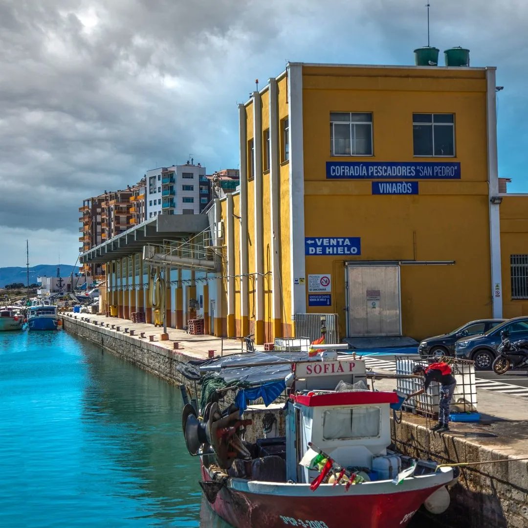 Turisme_Vinaros's tweet photo. 🇪🇦⚓ Los jueves 18 y 25 de julio te invitamos a disfrutar de la experiencia gastronómica: "Vinaròs, pueblo de pescadores". 

🎟️🍸🦐 Precio adultos: 7€. Precio de 7 a 12 años: 4€. Menores de 7 años gratuito.  Incluye vermut y aperitivo de producto marinero km 0 en el Mercado. https://t.co/xEfSn5pc1g