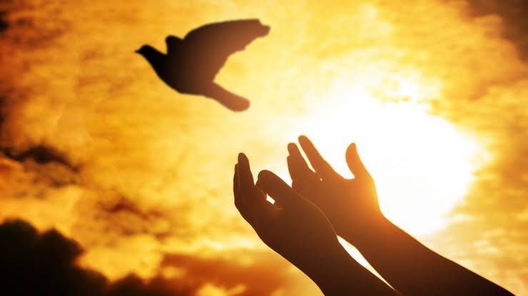 prrafaelfrazao's tweet photo. As vitórias não são alcançadas pela nossa força, conhecimento ou poder; elas são alcançadas através do Espírito Santo. Precisamos ser mais dependentes de Deus para reconhecer o quanto somos pequenos.
#Zc4 #Rpsp #PrimeiroDeus https://t.co/tJGJvxz3pE