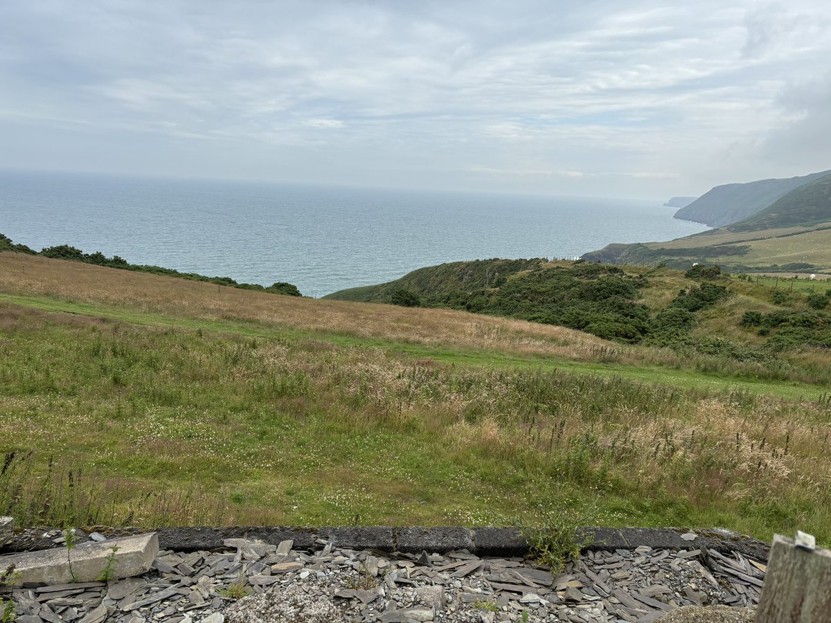 Mrs Fisher tweet media