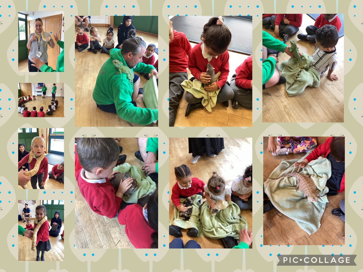 Thank you to <a href="/GTKAnimals/">Get To Know Animals CIC</a> for coming in and sharing the amazing animals with the EYFS! The children had so much fun learning some amazing facts and they even had the opportunity to hold them, showing great care and kindness! ⭐️🐰🐇🐀🐁🐍 <a href="/WhittinghamWHA/">Whittingham Primary Academy</a>
