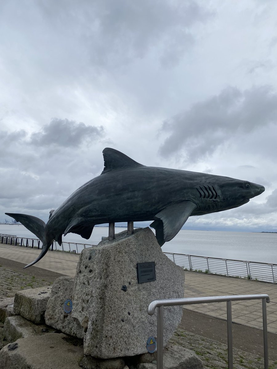 Delta's Coach Adventures tweet media