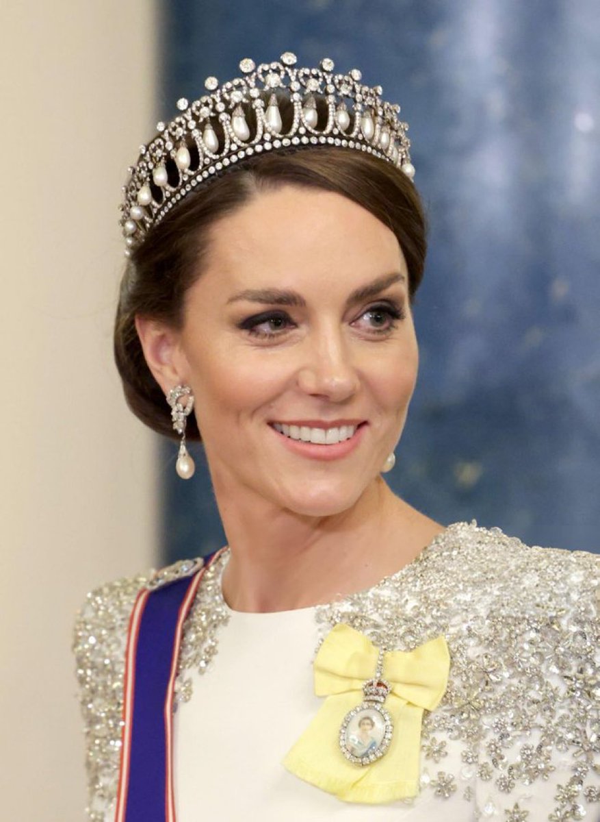 Who LIKES and RESPECTS the Princess of Wales ❤️

YES or NO?