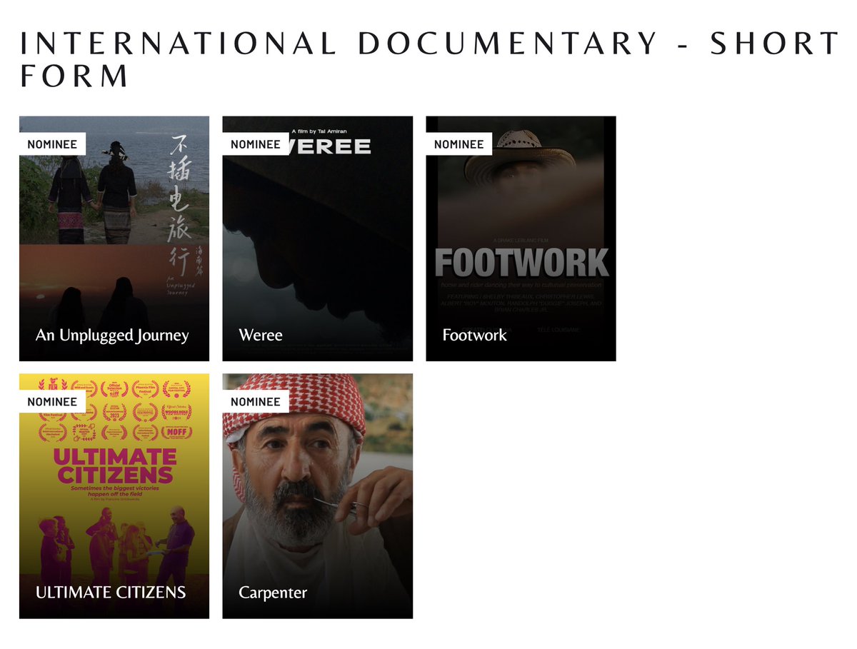 Tal Amiran tweet media