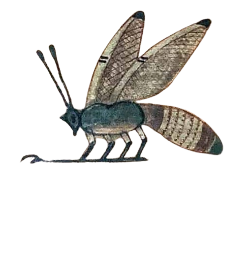 Join me <a href="/World_Museum/">World Museum 🌎</a> on Saturday at 11am where me and expert bee keeper Andrea Ku will be comparing and contrasting bee keeping from Ancient Egypt and today as well as discussing some surprising ancient uses for honey and wax. 
Saturday 20 July at 11am, drop in!