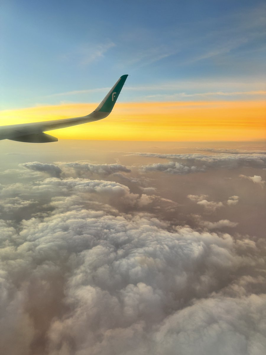 Khaled Ashour tweet media